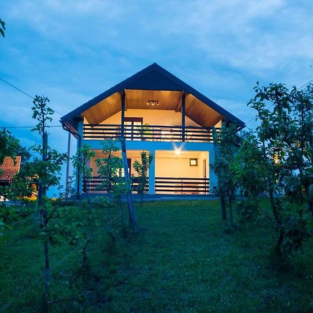 Holiday Home Dandelion With Hot Tub & Sauna Cetingrad Bagian luar foto