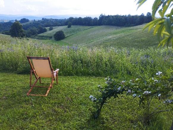 Holiday Home Dandelion With Hot Tub & Sauna Cetingrad Bagian luar foto