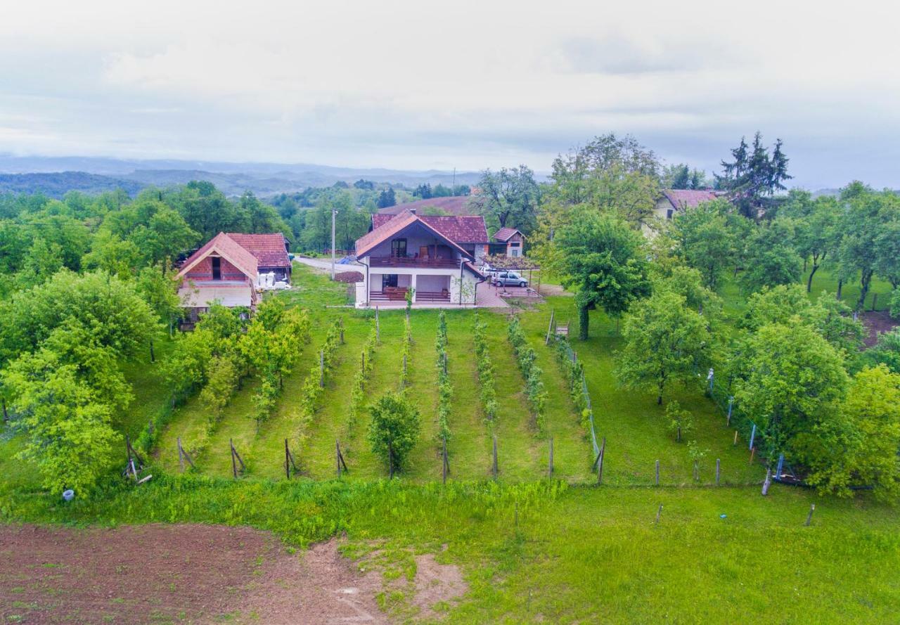 Holiday Home Dandelion With Hot Tub & Sauna Cetingrad Bagian luar foto