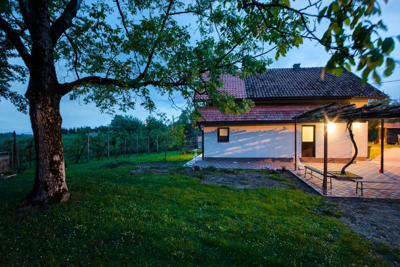 Holiday Home Dandelion With Hot Tub & Sauna Cetingrad Bagian luar foto