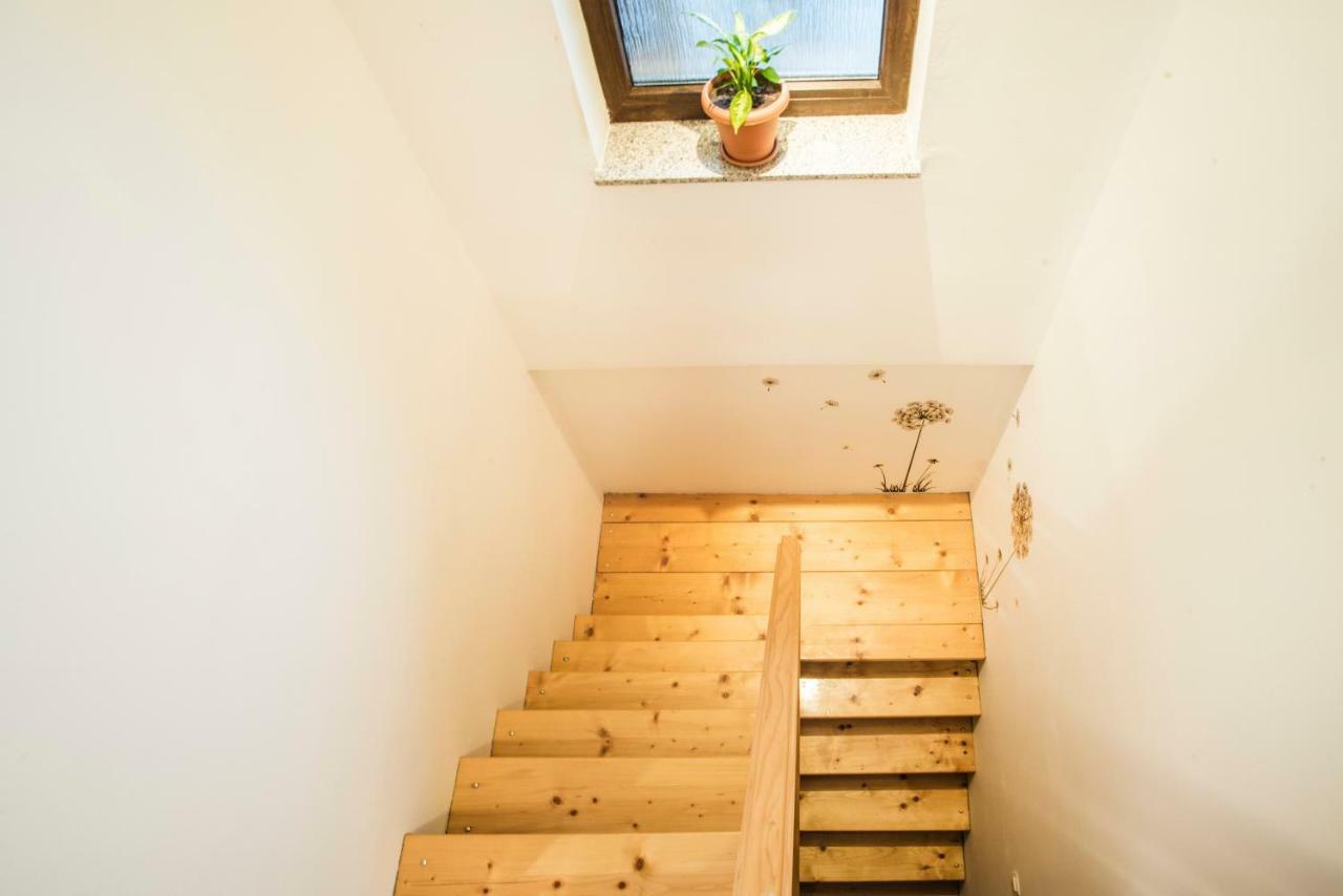 Holiday Home Dandelion With Hot Tub & Sauna Cetingrad Bagian luar foto
